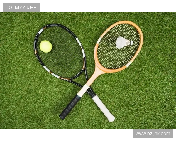 全面解析羽毛球运动技巧规则装备与战略思维的深度解读